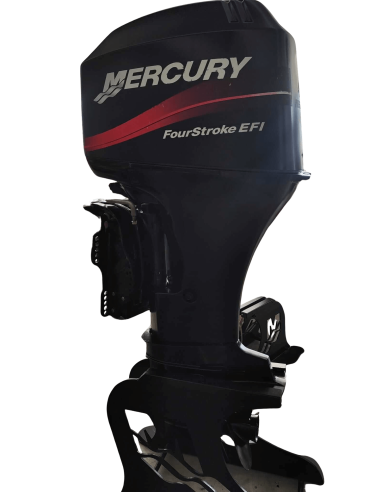 Mercury F40 ELPT EFI 2008 - Cagliari - Tagliandato e con Garanzia