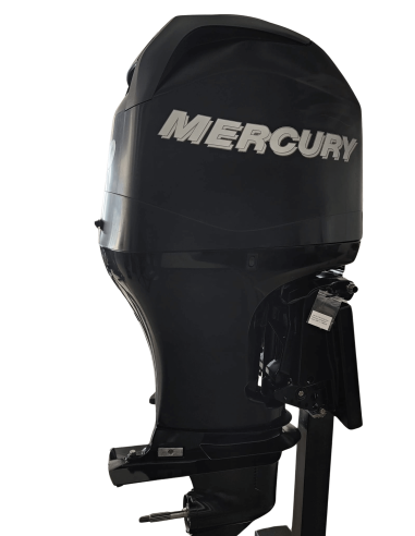 Mercury F100 ELPT 2008 Usato - Tagliandato e Garantito