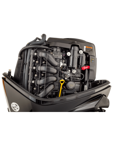 Mercury F80 80cv EFI Power Trim: Il Fuoribordo Ideale