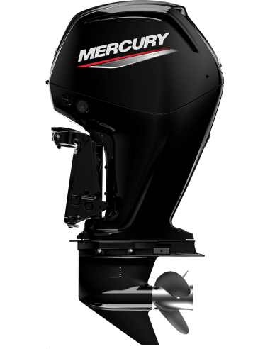 Mercury F100: 100hp EFI Power Trim - Ottime Prestazioni