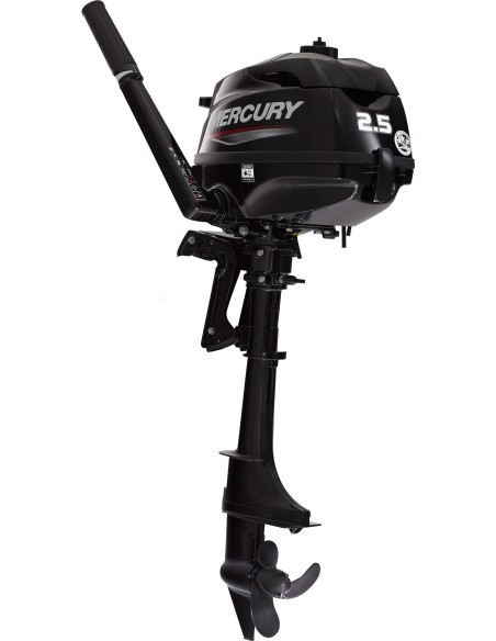 Mercury 2.5-hp: Affidabile, Portatile e Versatile