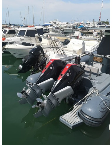 Cab Dorado 8.7 (2022) Verado V8 300hp DTS in vendita