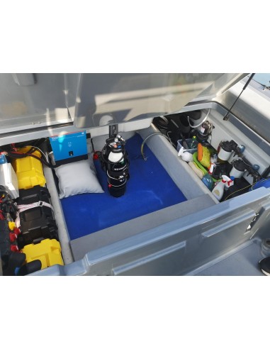 Cab Dorado 8.7 (2022)  in vendita