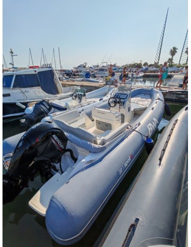 BWA Sport GT22 con Mercury F150L