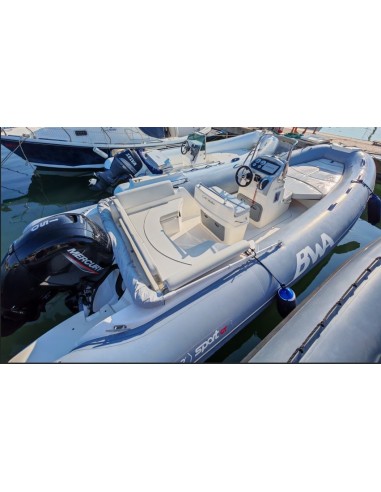 BWA Sport GT22 con Mercury F150L