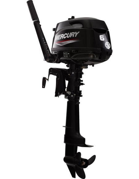 Mercury F6 MH: Affidabilità Garantita