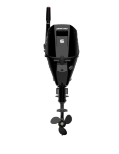 Mercury F6 MH EFI 4 Tempi in vendita | Cortis Nautica