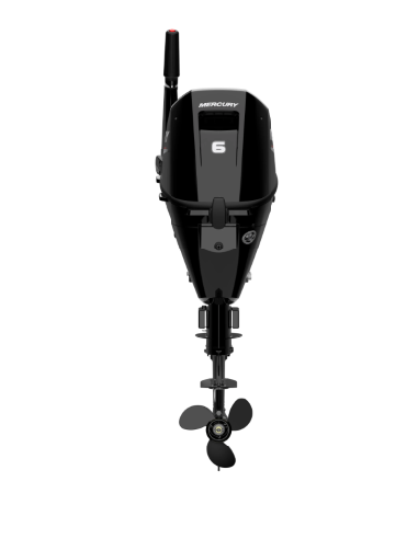 Mercury F6 MH EFI 4 Tempi in vendita | Cortis Nautica