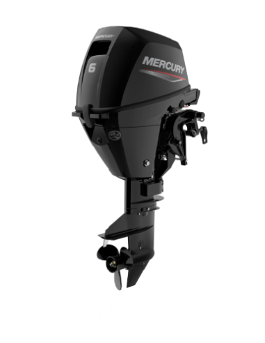 Mercury F6 MH EFI 4 Tempi in vendita | Cortis Nautica