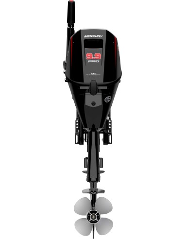 Motore Fuoribordo Mercury F9.9 EFI: Reattività e Sicurezza per la Tua Imbarcazione