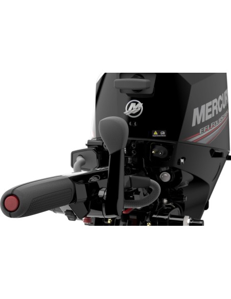 Mercury F20: potenza e versatilità per la tua imbarcazione